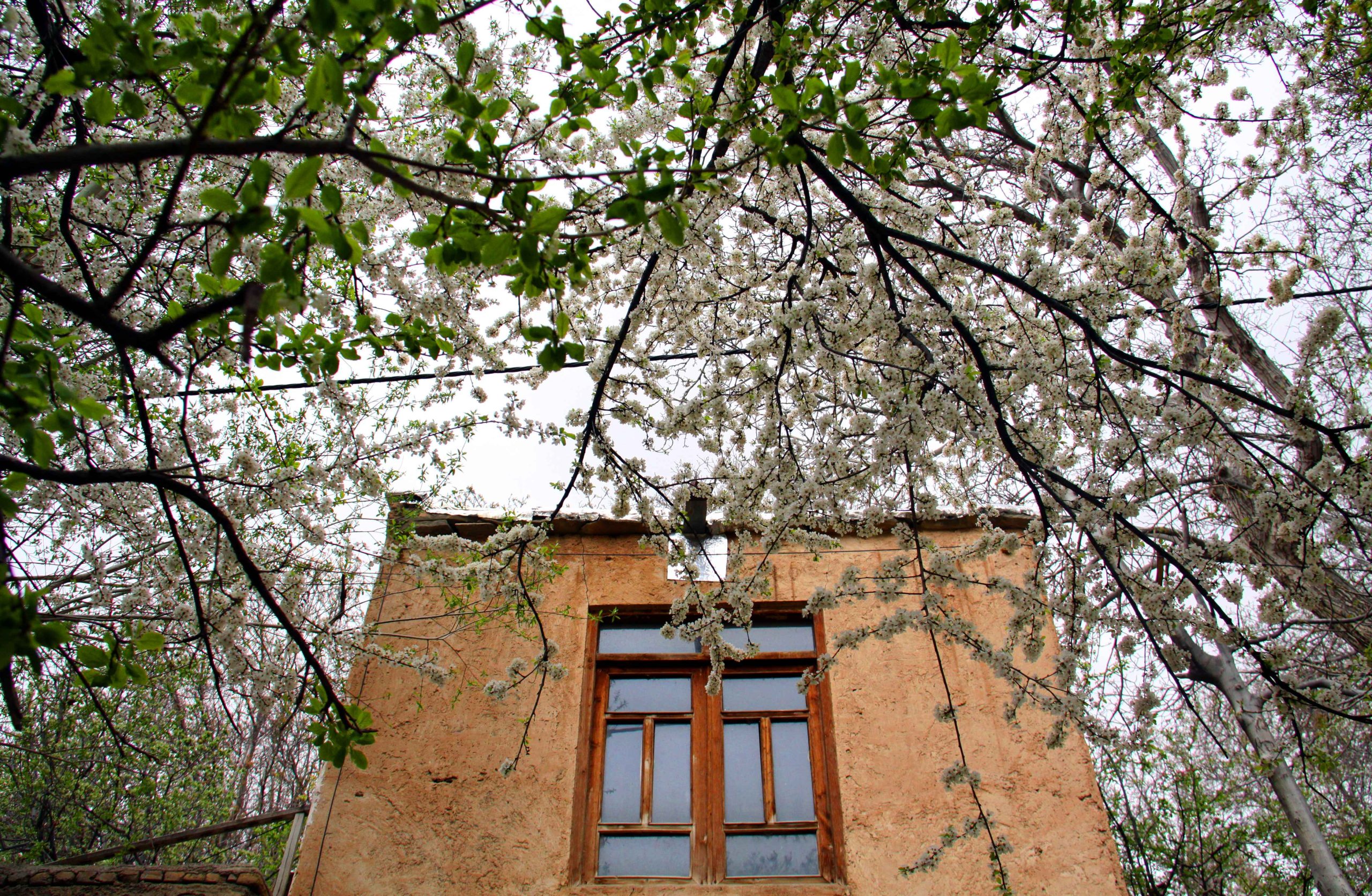 کوچه باغ های شهمیرزاد